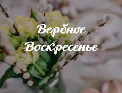 Картинки и открытки. С Вербным воскресеньем 2025: красивые и душевные картинки изображение №3