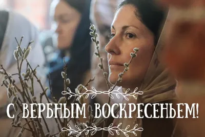 Картинки и открытки. С Вербным воскресеньем 2025: красивые и душевные картинки изображение №4