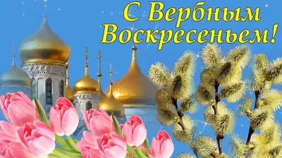 Картинки и открытки. С Вербным воскресеньем 2025: красивые и душевные картинки изображение №5