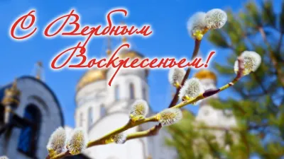 Картинки и открытки. С Вербным воскресеньем 2025: красивые и душевные картинки изображение №6