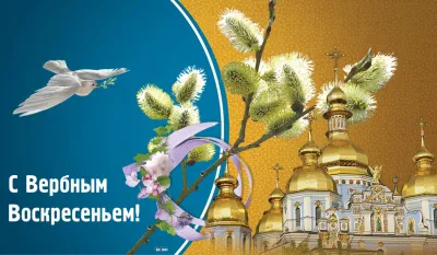 Картинки и открытки. С Вербным воскресеньем 2025: красивые и душевные картинки изображение №8