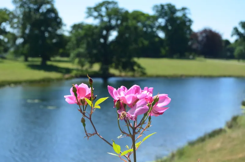 Народные приметы на 20 апреля 2025, что нельзя делать «Инфобокс»
