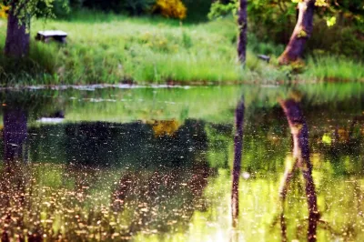 Народный календарь на май 2025 года: православные праздники, традиции и приметы на каждый день «Инфобокс»