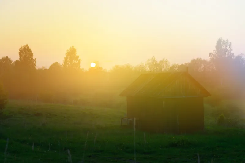 1 июля — Ярилин день: Макушка лета, приметы и запреты «Инфобокс»