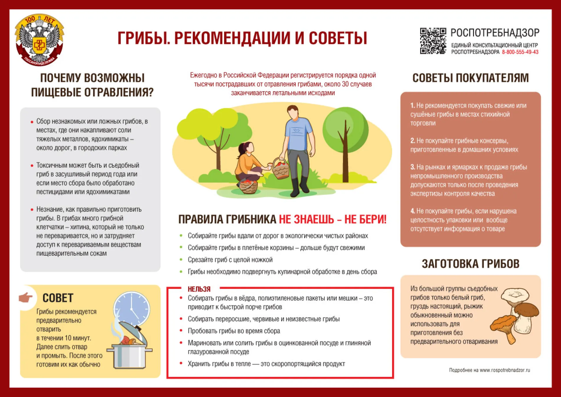 Что такое безусловно съедобные грибы