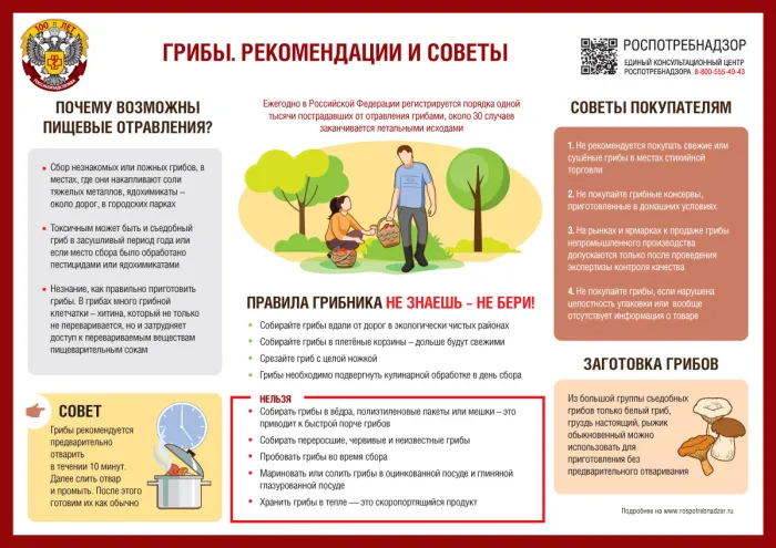 Что такое безусловно съедобные грибы