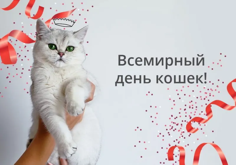 Красивые картинки с Всемирным днем кошек — 8 августа 2025 «Инфобокс»