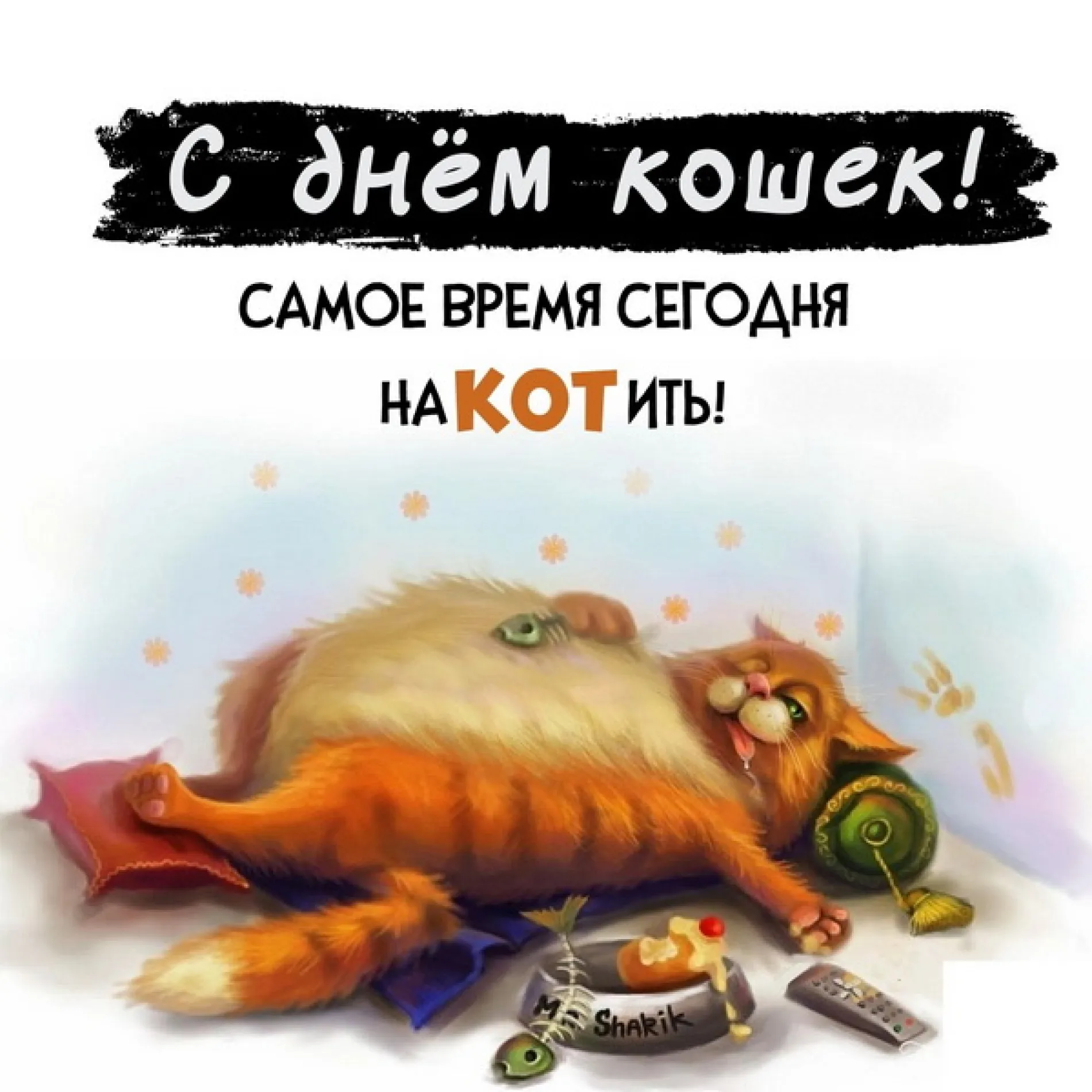 С Всемирным днем кошек 2025