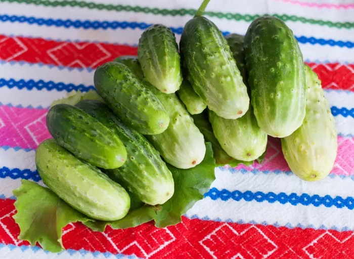 Как выбрать огурцы
