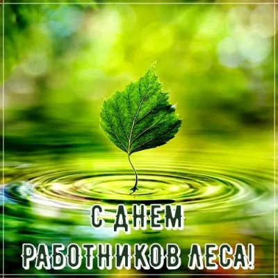 С Днем работников леса 2025