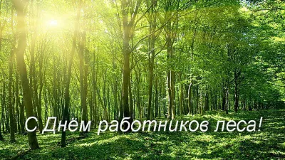 С Днем работников леса 2025