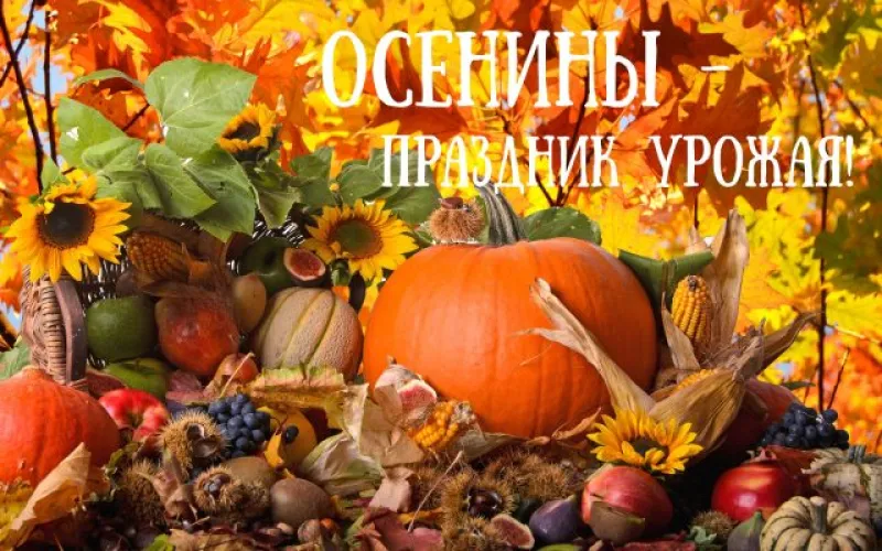 Осенины 2025: красивые и прикольные картинки «Инфобокс»