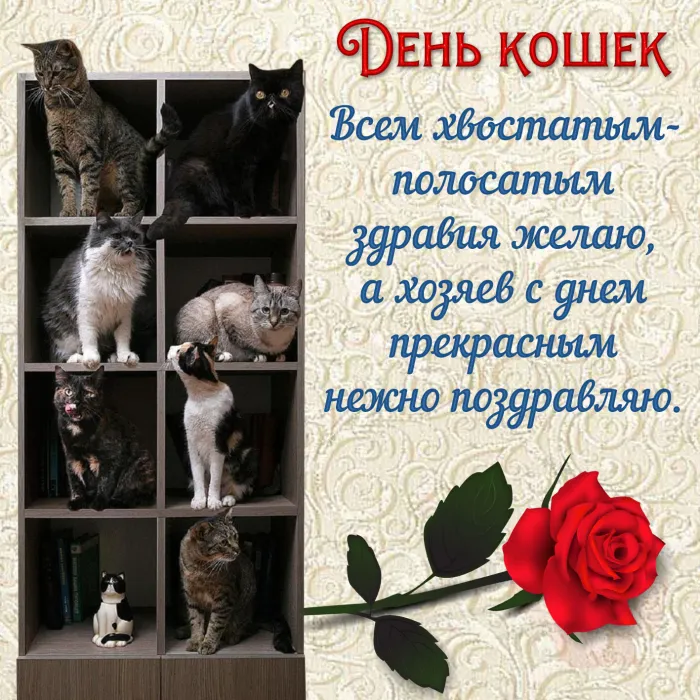 С Днем кошек 2026