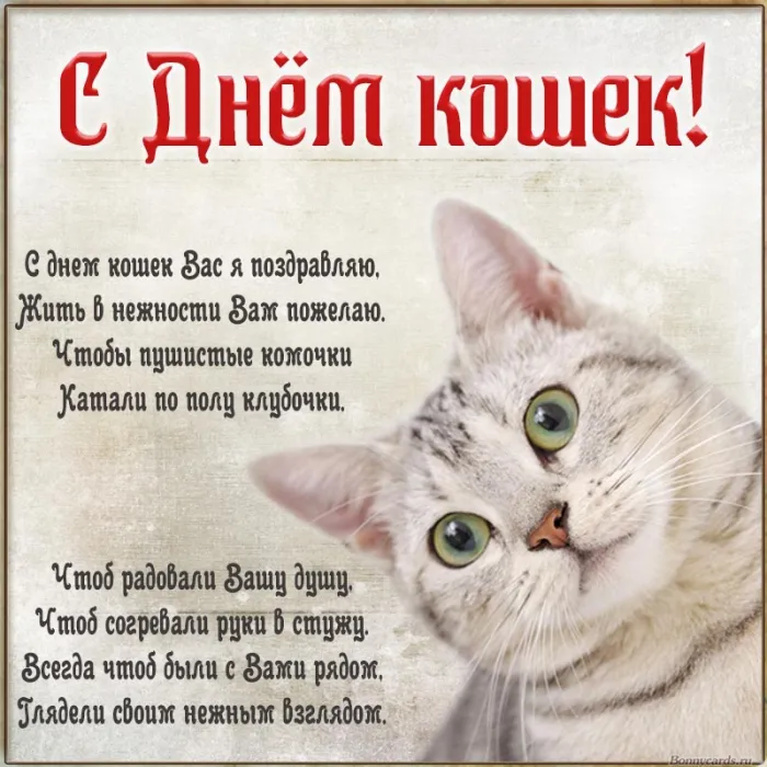 С Днем кошек 2026