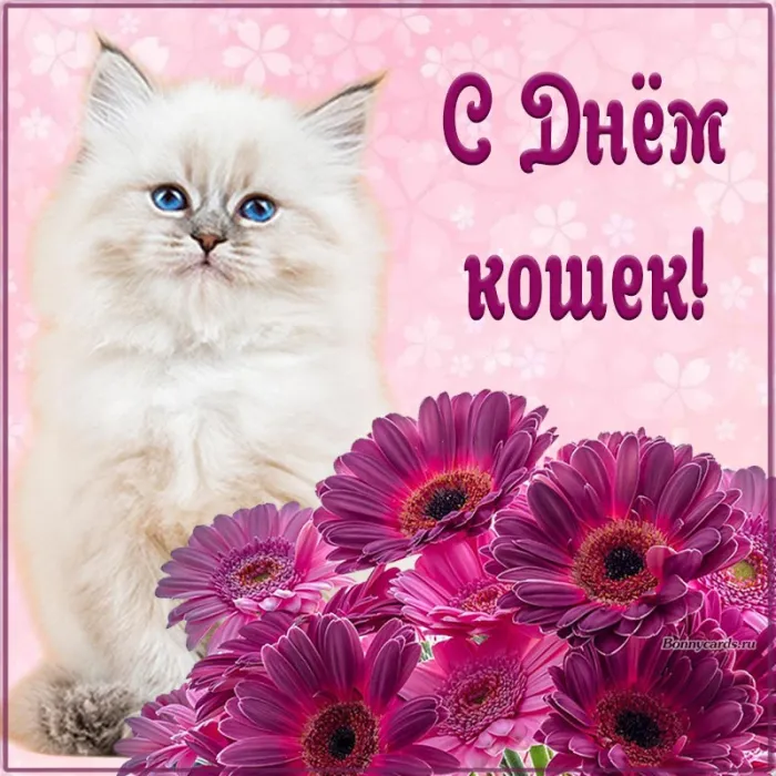 С Днем кошек 2026