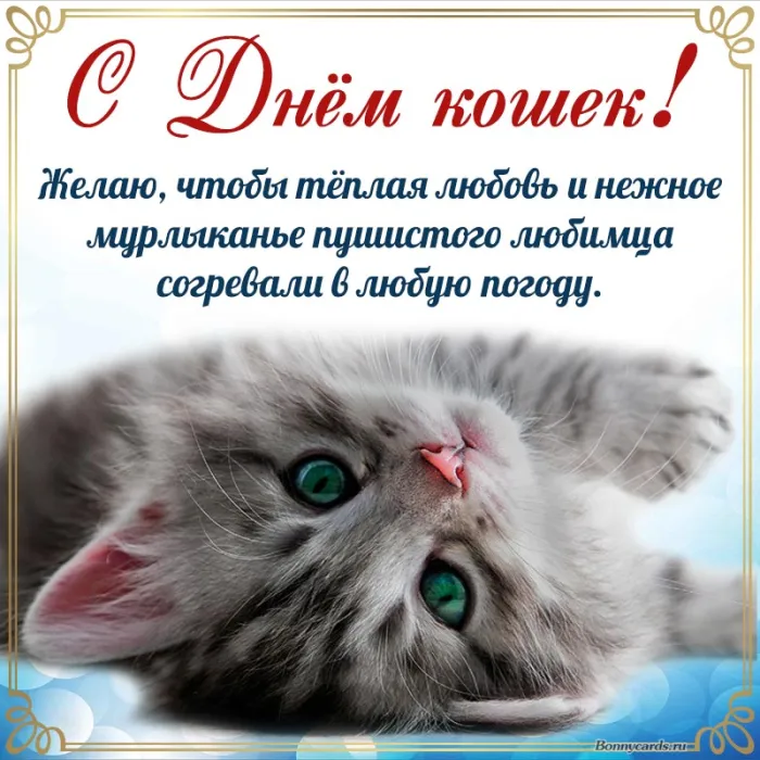 С Днем кошек 2026