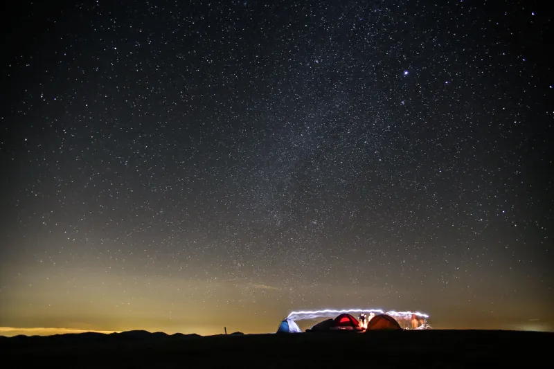 Подробный гороскоп для Львов на 2025 год