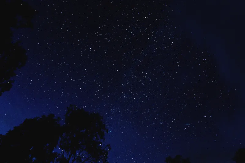 Гороскоп для знака зодиака Скорпион на 2025 год