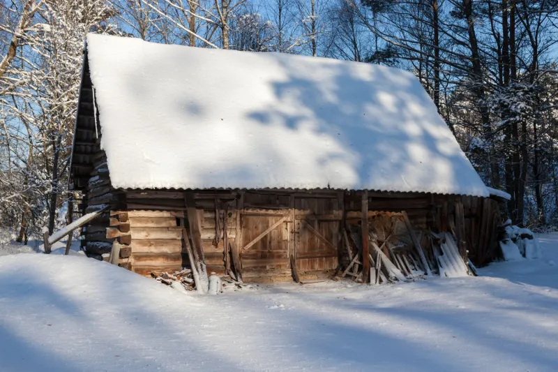 Народные приметы на 10 января 2025: что нельзя делать в Домочадцев день