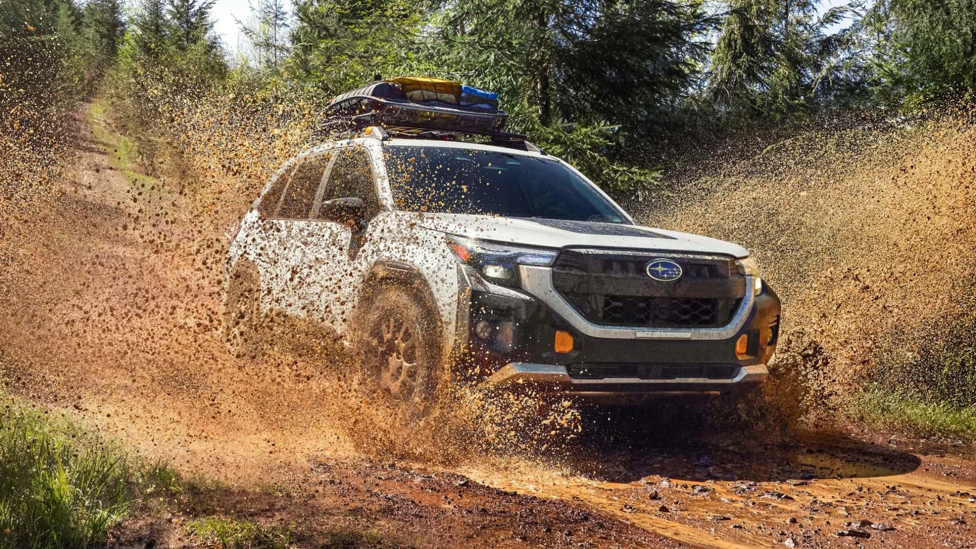 Subaru Forester Wilderness 2025: новый уровень проходимости для любителей приключений «Инфобокс»