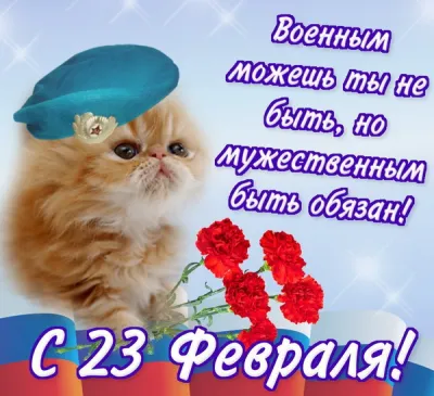 Открытки на 23 Февраля 2025: красивые и оригинальные картинки на День защитника Отечества