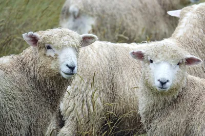 Народные приметы на 28 февраля 2025 года: что нельзя делать в этот день