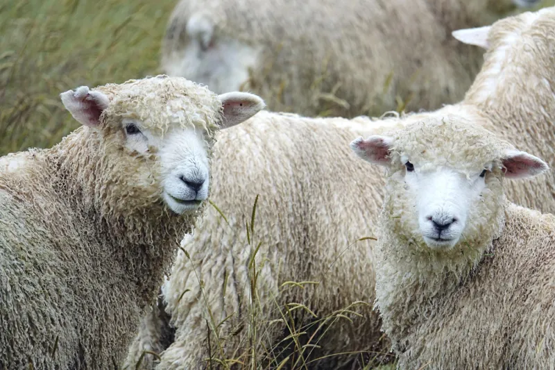 Народные приметы на 28 февраля 2025 года: что нельзя делать в этот день