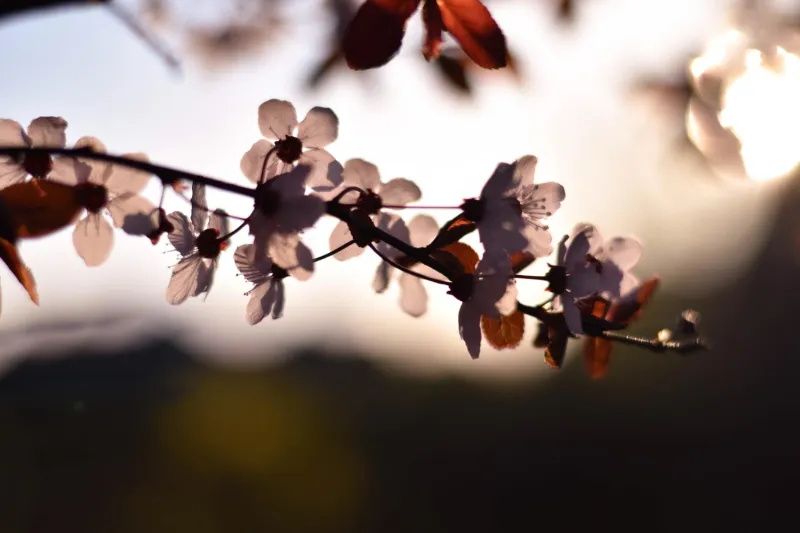 Народные приметы на 4 апреля 2025: что нельзя делать в этот день «Инфобокс»