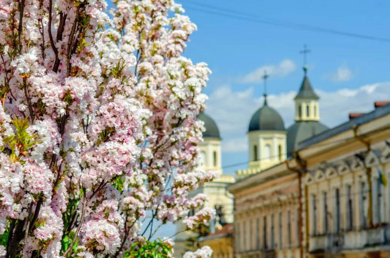 Народные приметы на 8 апреля 2025 — что нельзя делать в этот день «Инфобокс»